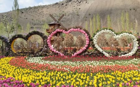 باغ لاله آسارا پلمب شد/عذرخواهی مسئول برگزاری جشنواره