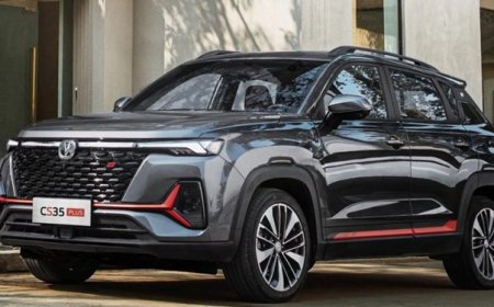 ‌‌اولین محموله خودروهای وارداتی از گمرک ترخیص شد 