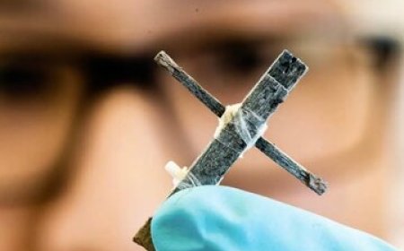 یک دستاورد باورنکردنی/ ساخت نخستین ترانزیستور چوبی جهان