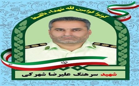 شهادت همسر رئیس پلیس آگاهی شهرستان سراوان