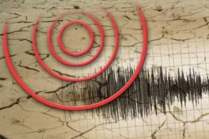 زلزله چهار ریشتری فاریاب کرمان خسارت نداشت