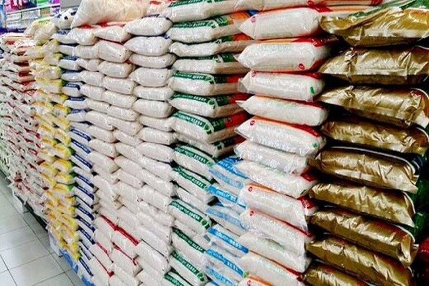 ۷۰ درصد برنج های وارداتی می روند شمال!