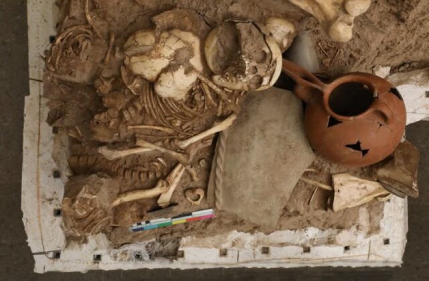 کشف اسکلت کودکان 3 هزار ساله در سگزآباد قزوین 