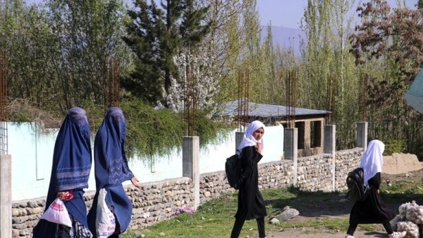 طالبان ورود به رستوران‌های روباز را برای خانواده‌ها و زنان در هرات ممنوع کرد