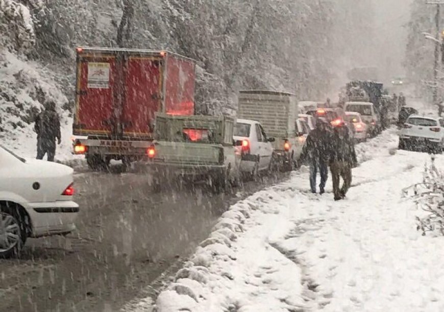 بارش برف و ترافیک سنگین در جاده چالوس