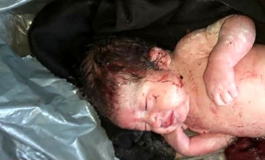 اتفاقی عجیب در تهران / کشف جسد نوزاد در سطل زباله! 