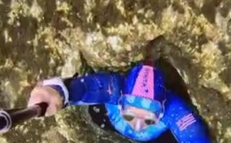 ببینید | جرات عجیب غواص زن در زیر دریا