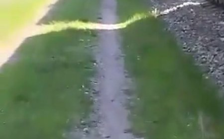 قطار روسیه بر اثر انفجار بمب کارگذاری شده از ریل خارج شد + فیلم