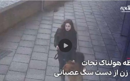 ببینید | لحظه هولناک نجات یک زن از دست سگ عصبانی!