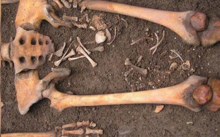 راز جنینی که در گور به دنیا آمده بود 