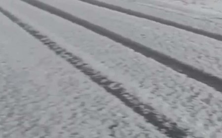 ببینید | بارش سنگین و عجیب برف در مشگین شهر!