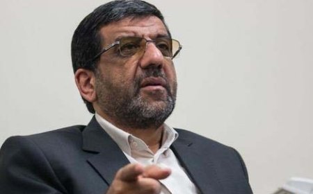 وزیر میراث:  بعضی از بناهای تاریخی تبدیل به «سگدونی» شده!