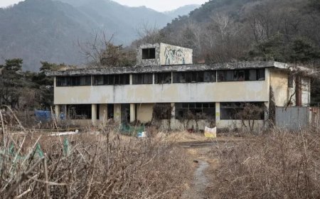 راز مگو در کره جنوبی؛ تجارت جنسی زنان کره‌ای برای سربازان آمریکایی