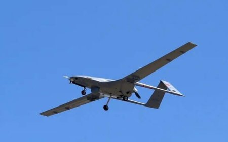 ببینید| سرنگونی پهپاد اوکراینی بر فراز کییف