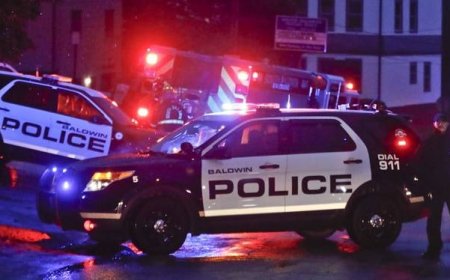 ببینید |‌ دو تیراندازی مرگبار در آمریکا با ۱۰ قربانی