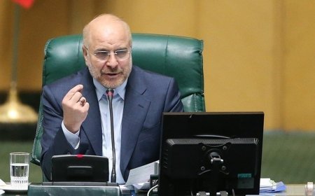 واکنش قالیباف درباره واگذاری شاسی بلندها به نمایندگان