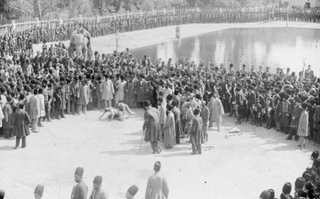 پهلوانی، پازل گمشده ورزش ایران