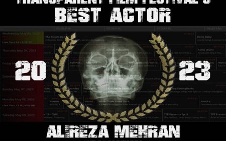 علیرضا مهران بهترین بازیگر جشنواره ترنسپرنت آمریکا شد