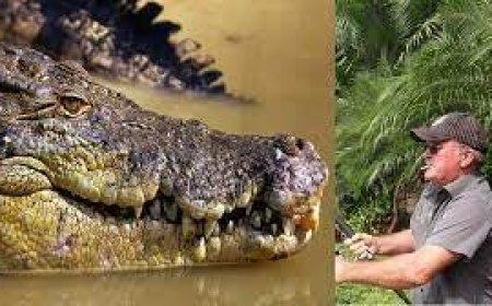 جسد ماهیگیر استرالیایی مفقود شده در شکم کروکودیل پیدا شد‎‎!