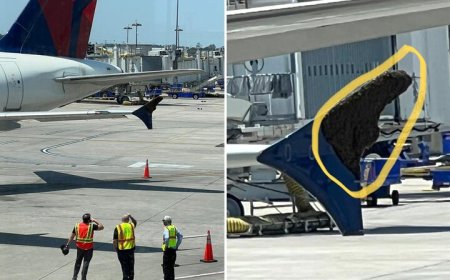 تاخیر ۳ ساعته هواپیما به خاطر زنبورها