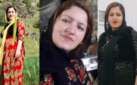 خودکشی یا قتل «شلیر»