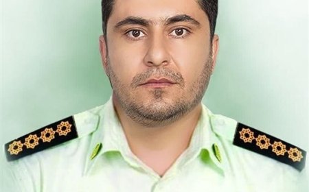 عاملان شهادت شهید هادی دستگیر شدند