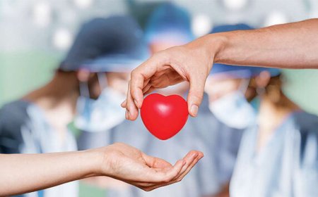 اعضا دختر نوجوان فیروزکوهی به ۵ نفر جان دوباره داد