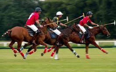 برای اولین بار  لیگ چوگان در ایران برگزار می شود