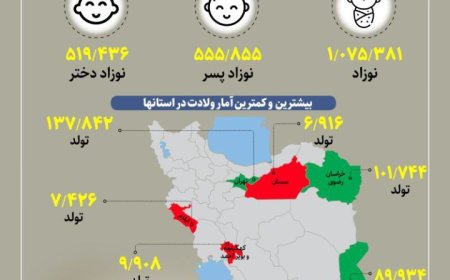 بیشترین تولدها در کدام استان بوده است؟