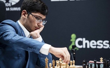 شاهکار ورزشکار پناهنده ایرانی مقابل قهرمان جهان