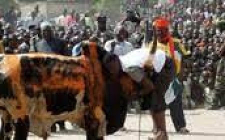 ببینید| عجیب‌ترین و خطرناک‌ترین ورزش جهان