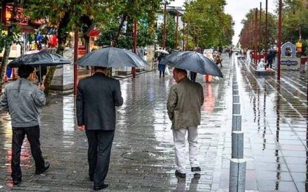 باد و باران در راه است