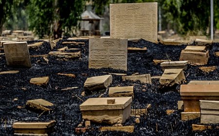 آتش سوزی در آرامستان دارالسلام شیراز