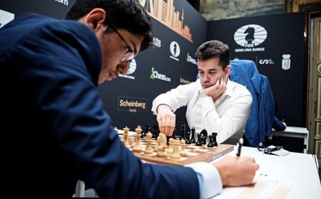 فیروزجا حیثیت فینالیست های جهان را برد!