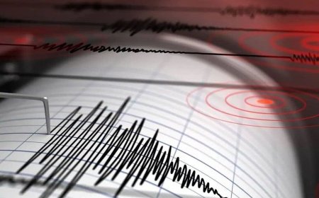 اردكان لرزید 