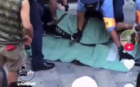 ببینید | روش جالب پلیس ژاپن برای دستگیری مجرمان