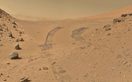 ببینید| تصاویر جدید کاوشگر ناسا از مریخ