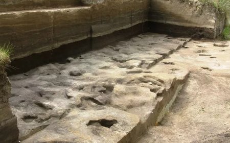 کشف قدیمی‌ترین ردپای انسان متعلق به ۳۰۰ هزار سال پیش