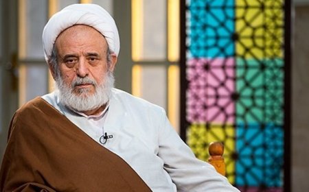 ویدئو| شیخ حسین انصاریان: هم کاباره رفتم هم تو عرق فروشی و سینما!