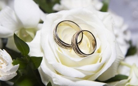 برای یافتن همسر به این ۳۳ مکان مراجعه کنید