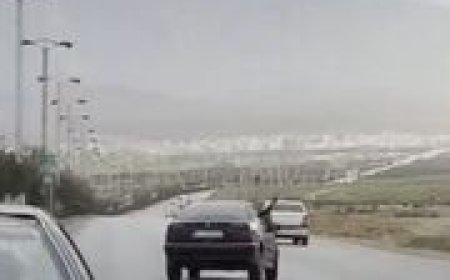 ببینید | سرانجام قمه کشی راننده وسط جاده در شیراز