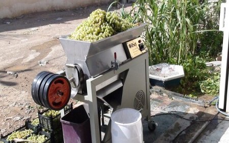 فروش آب انگور در میدان مرکزی میوه‌ و تره‌بار تهران ممنوع شد