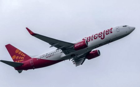 عکس| خلبان شوخ‌طبع هندی