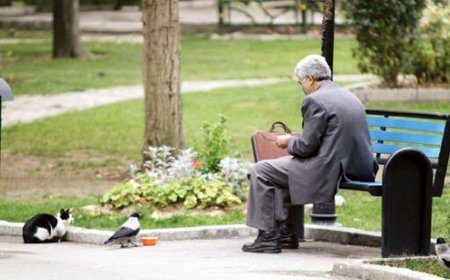 ببینید| کارشناس تلویزیون: بازنشستگان اشتغال جوانان را سخت می‌کنند!