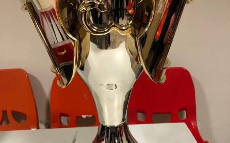 تصویری از جام قهرمانی لیگ برتر