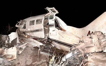 سقوط هواپیما در کلمبیا؛ ۴ کودک ،۱۷ روز بعد در جنگل زنده پیدا شدند
