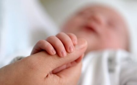 زمان امکان خرید صندوقهای قابل معامله برای متولدین تابستان ۱۴۰۱ اعلام شد