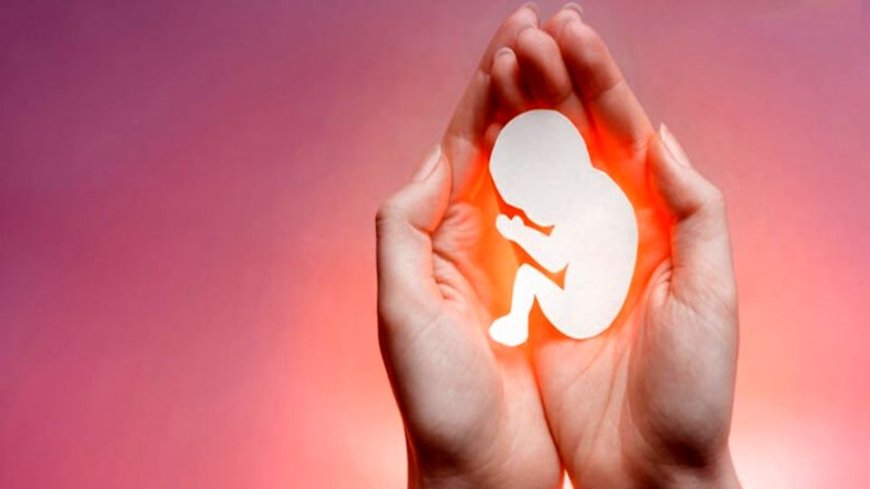 گشت مقابله با سقط جنین راه‌اندازی شد 