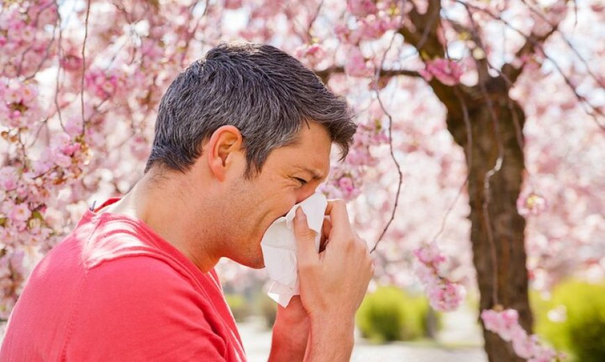 نشانه‌های‌ آلرژی را جدی بگیرید | خطر ابتلا به آسم جدی است