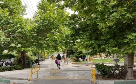 عضو شورای شهر تهران : قطع درختان بوستان کوهپیما خلاف قانون است